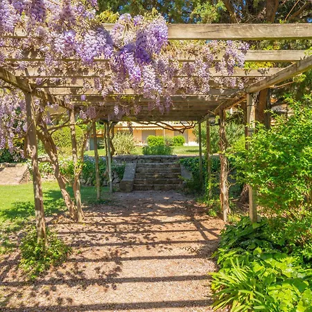 Appartement Spacieux 3 Pieces A 5 Min Des Plages A Pieds *